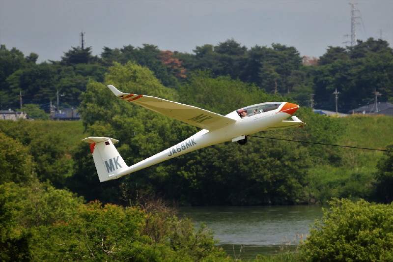 慶應ディスカス